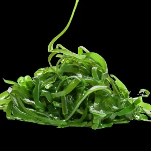 Kelp Varech algues naturel pour mangeur d&rsquo;algues