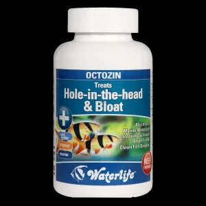 Waterlife Octozin Hole In The Head & Bloat